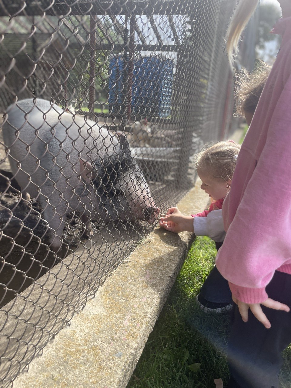 photo 2026 08 28 09 34 19